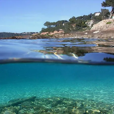 Magnifique Petit Cocon Bord De Mer- Lesclesdenicole Appartement *