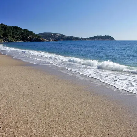 Magnifique Petit Cocon Bord De Le Pradet