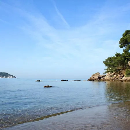 Appartement Magnifique Petit Cocon Bord De Mer- Lesclesdenicole *